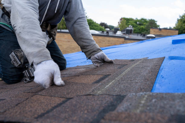 Best Roof Gutter Cleaning  in Rossmoor, CA